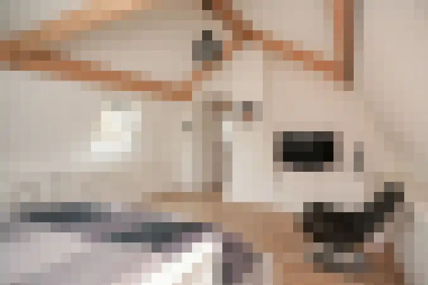 Achterhoek 6 Rossum thumbnail 32