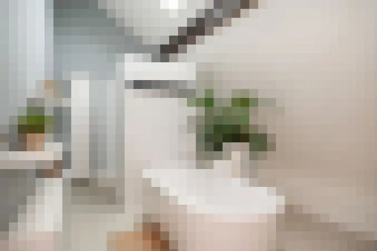 Achterhoek 6 Rossum thumbnail 34