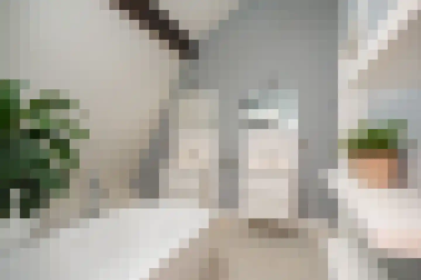 Achterhoek 6 Rossum thumbnail 35