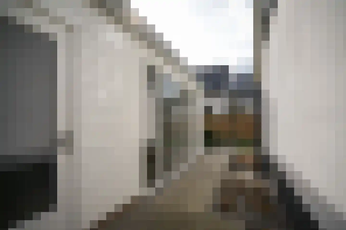 Achterhoek 6 Rossum thumbnail 44