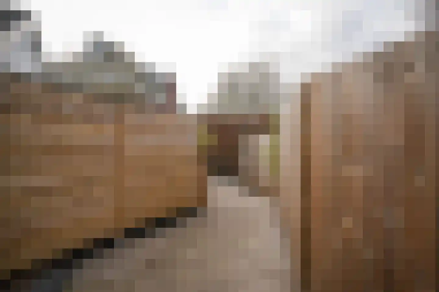 Achterhoek 6 Rossum thumbnail 56