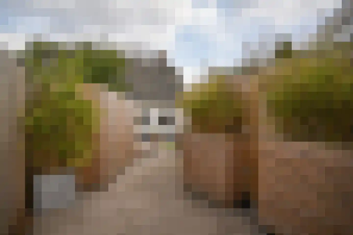 Achterhoek 6 Rossum thumbnail 57