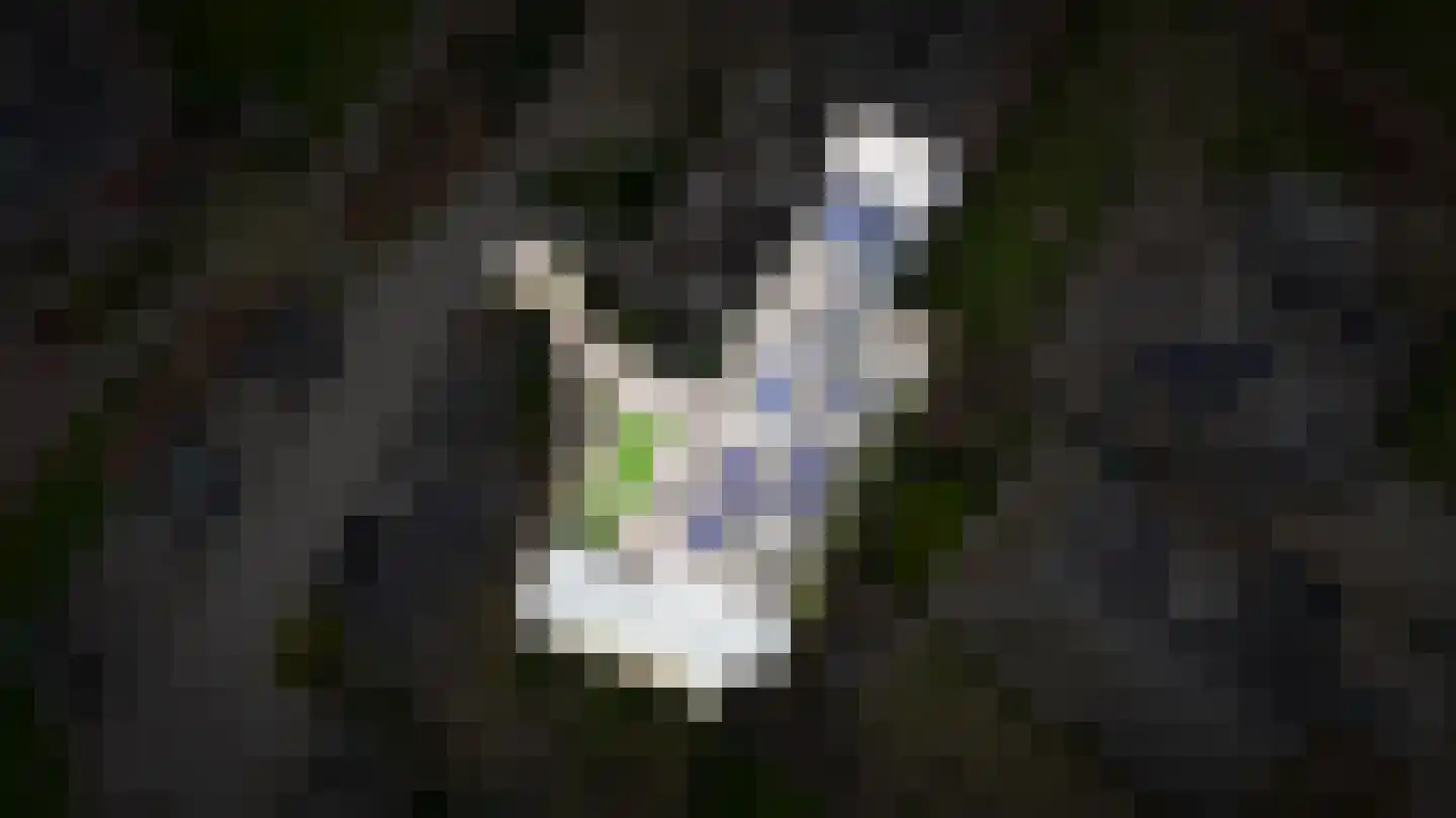Achterhoek 6 Rossum thumbnail 64