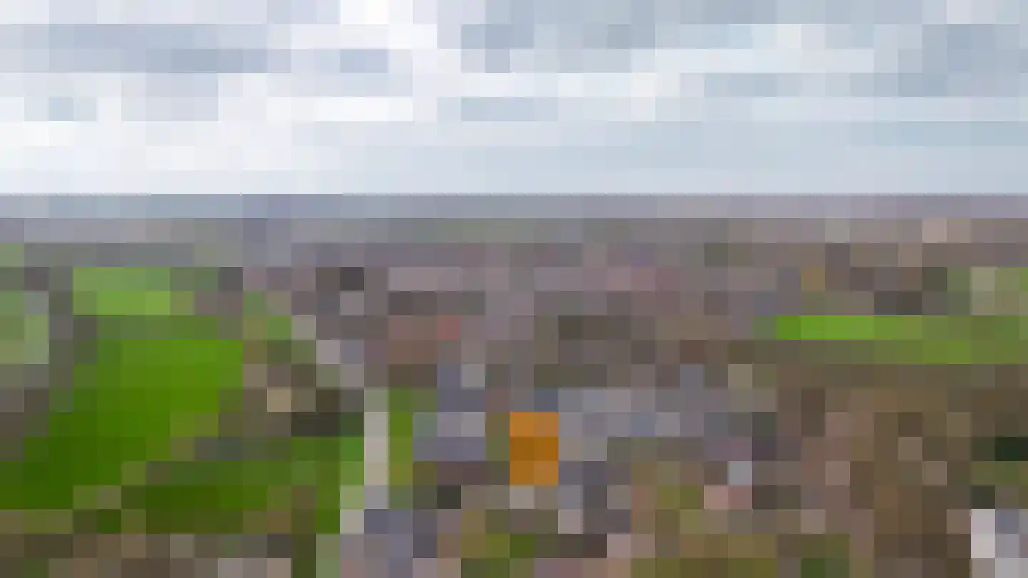 Achterhoek 6 Rossum thumbnail 65
