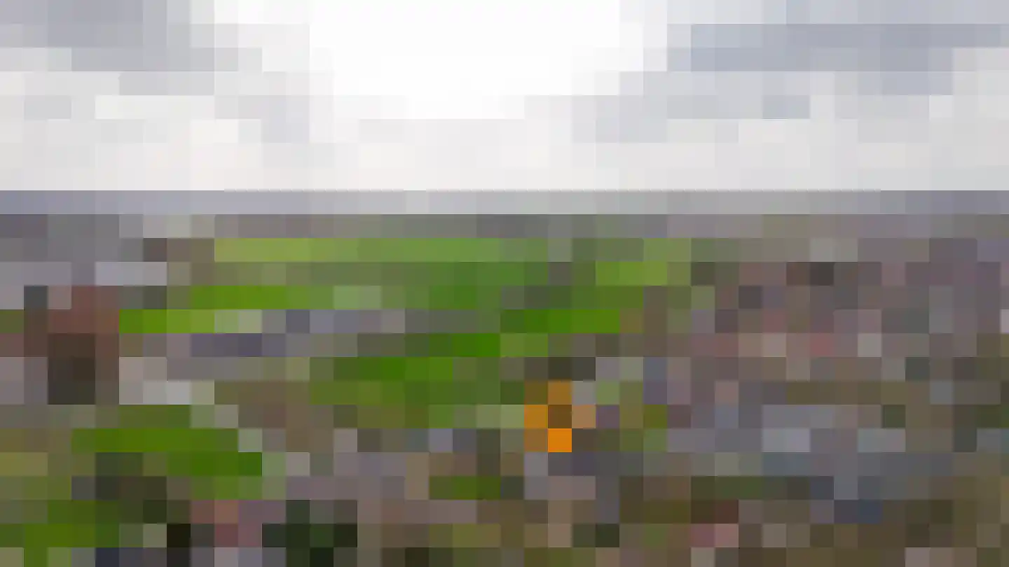 Achterhoek 6 Rossum thumbnail 66