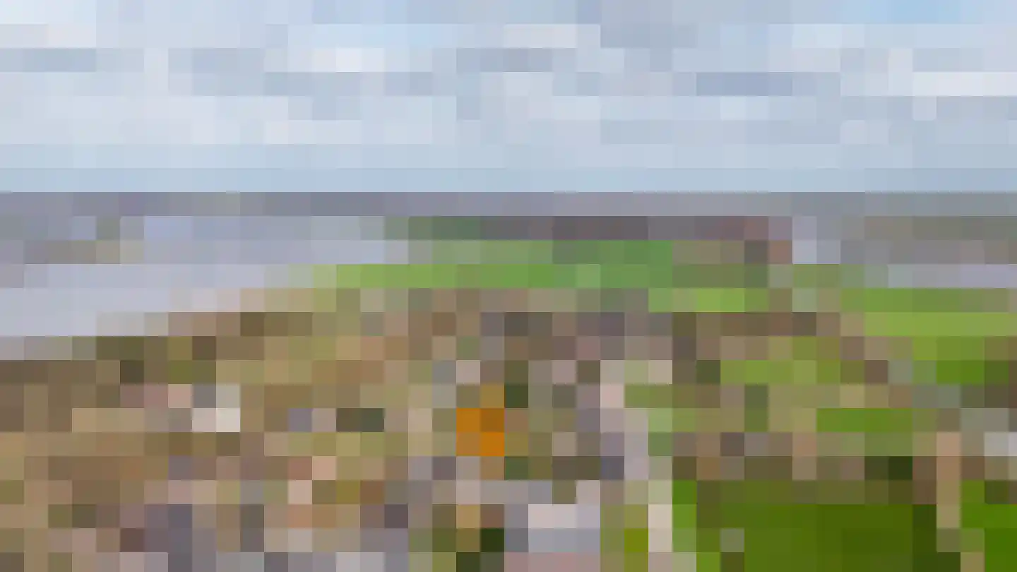 Achterhoek 6 Rossum thumbnail 67
