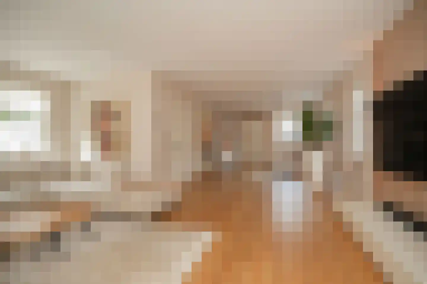Achterhoek 6 Rossum thumbnail 9