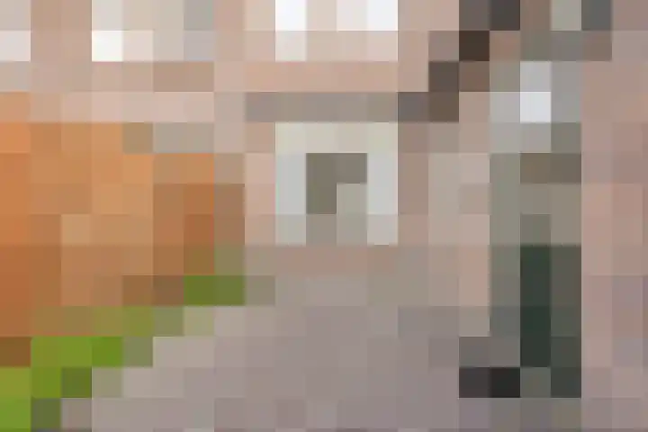 Achterhoekse Molenweg 121 Hengelo thumbnail 24