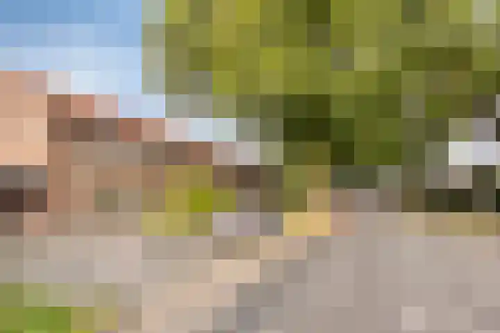 Achterhoekse Molenweg 121 Hengelo thumbnail 27