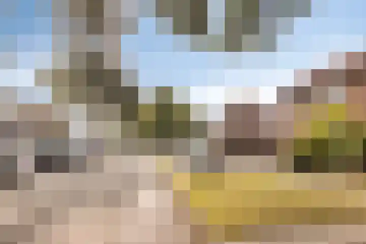 Achterhoekse Molenweg 121 Hengelo thumbnail 28