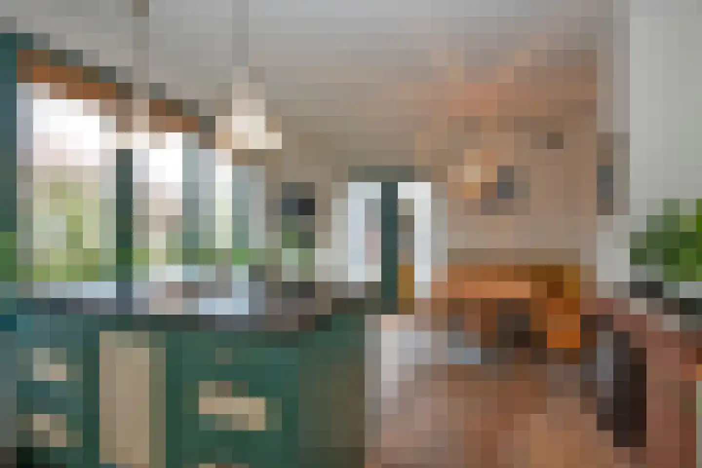Achterhoekse Molenweg 224 Hengelo thumbnail 17