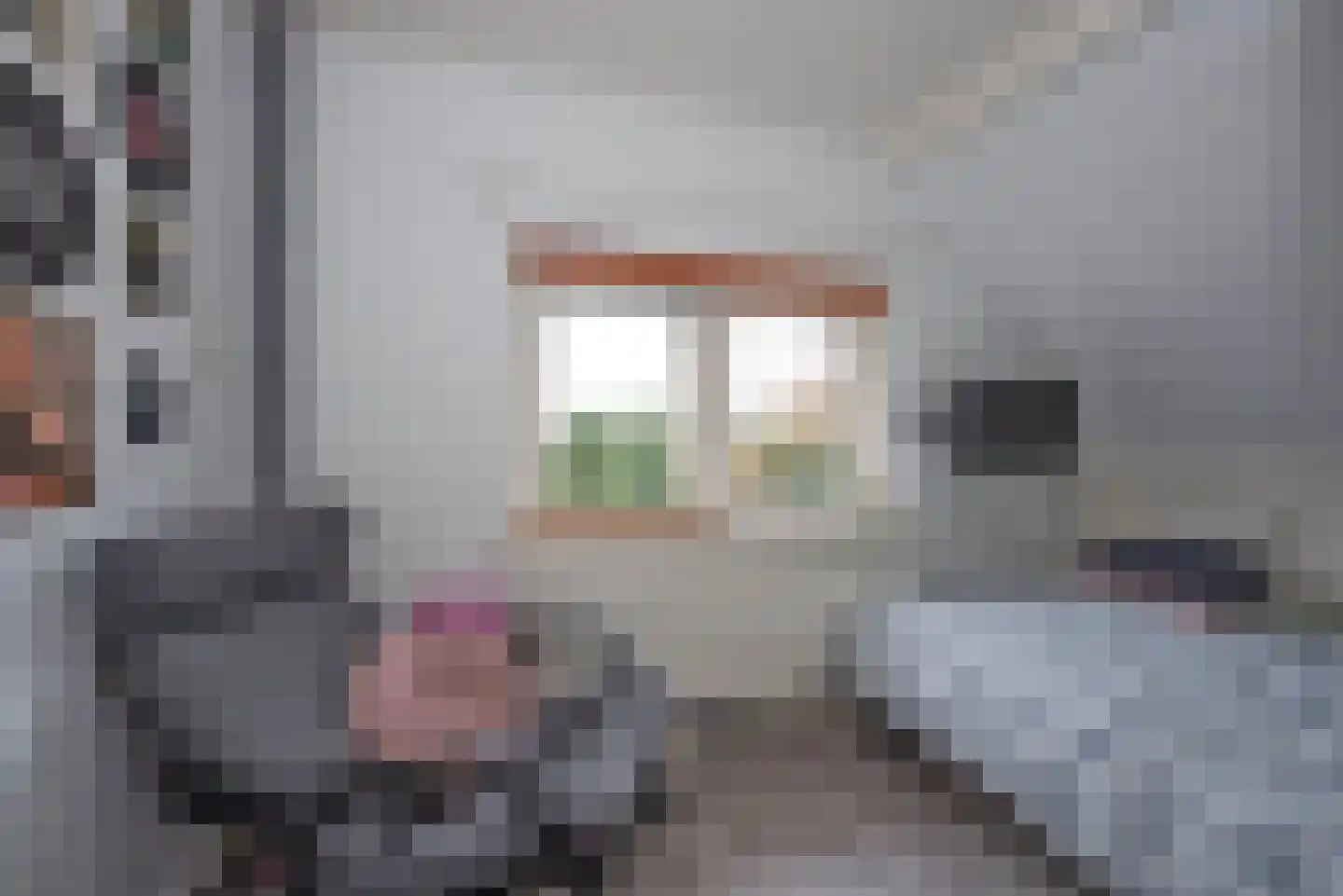 Achterhoekse Molenweg 224 Hengelo thumbnail 28