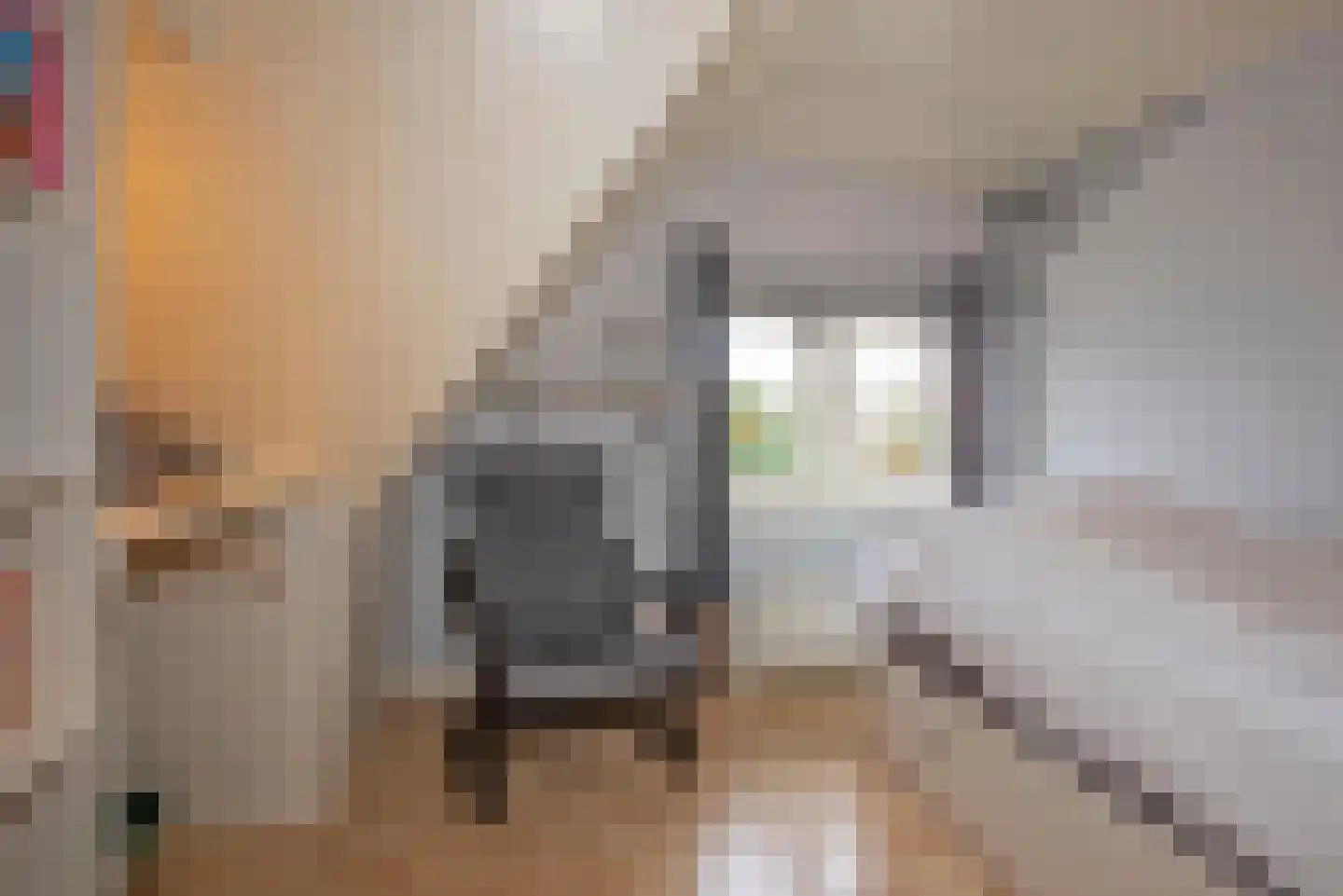 Achterhoekse Molenweg 224 Hengelo thumbnail 29