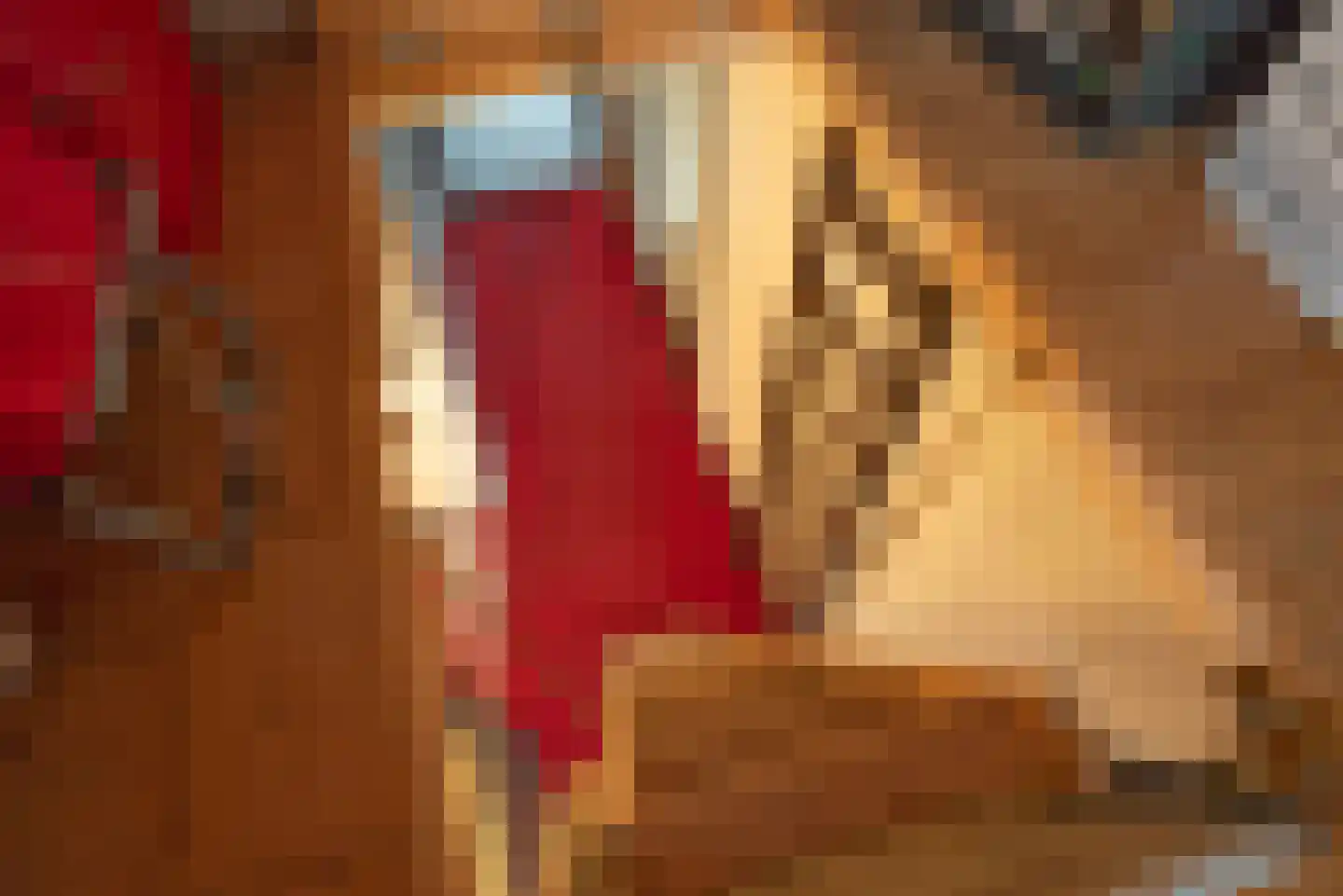 Achterhoekse Molenweg 224 Hengelo thumbnail 31