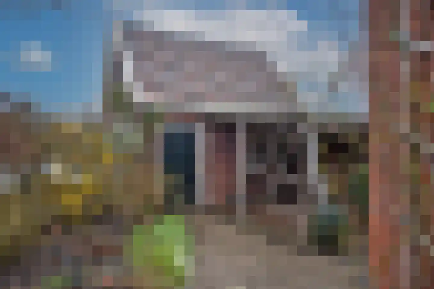 Achterhoekse Molenweg 224 Hengelo thumbnail 4