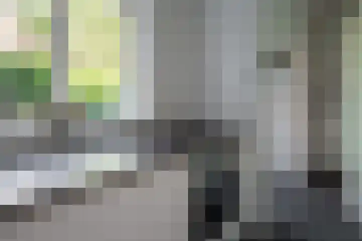 Achterhoekse Molenweg 270 Hengelo thumbnail 12