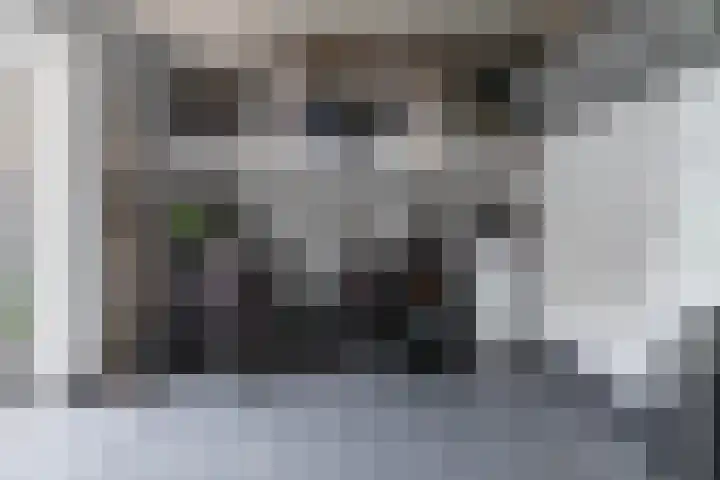 Achterhoekse Molenweg 270 Hengelo thumbnail 30