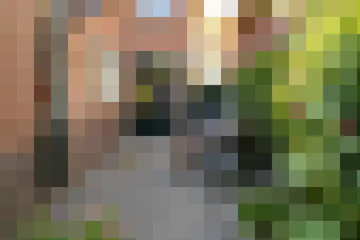 Achterhoekse Molenweg 270 Hengelo thumbnail 31