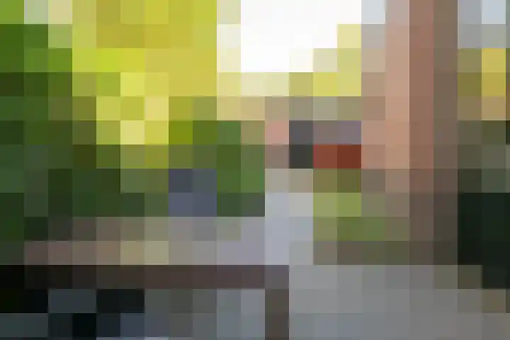 Achterhoekse Molenweg 270 Hengelo thumbnail 32