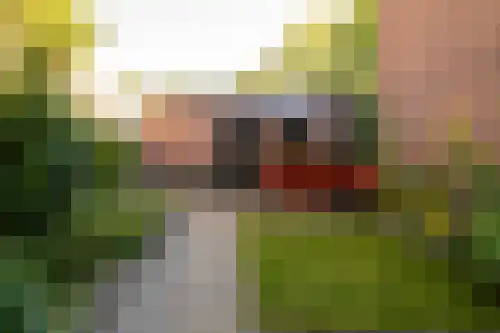 Achterhoekse Molenweg 270 Hengelo thumbnail 33
