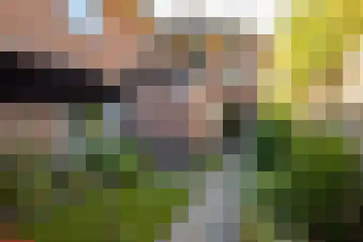 Achterhoekse Molenweg 270 Hengelo thumbnail 34