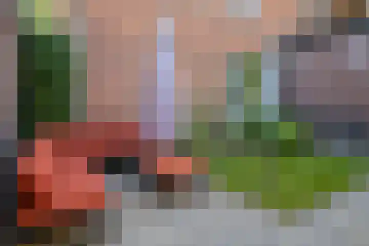 Achterhoekse Molenweg 270 Hengelo thumbnail 35