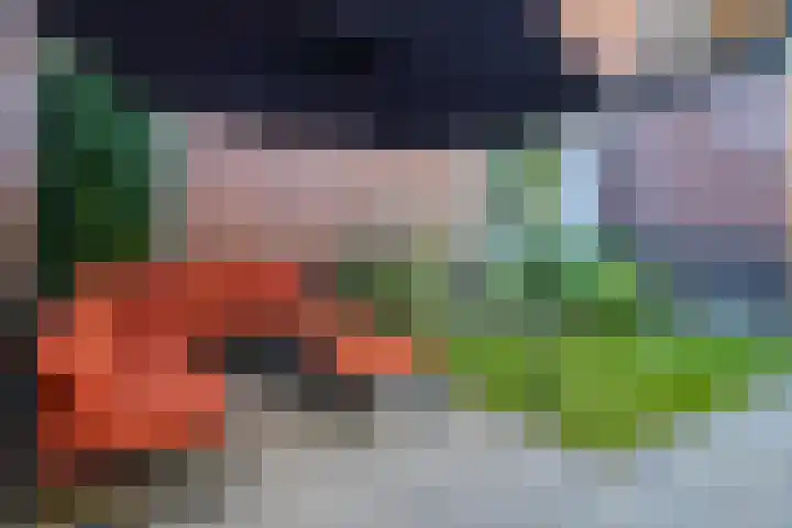 Achterhoekse Molenweg 270 Hengelo thumbnail 36