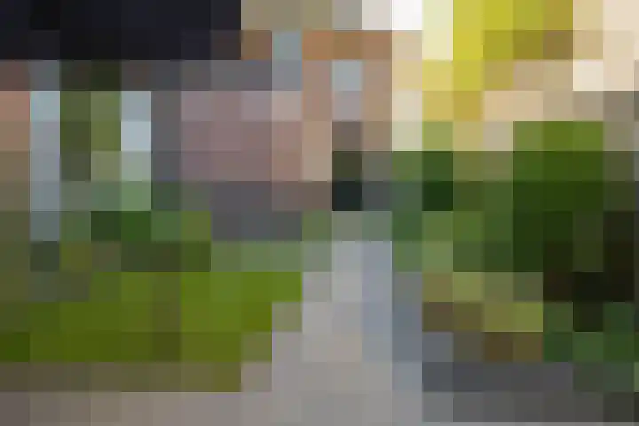 Achterhoekse Molenweg 270 Hengelo thumbnail 37
