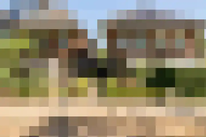 Achterhoekse Molenweg 270 Hengelo thumbnail 38
