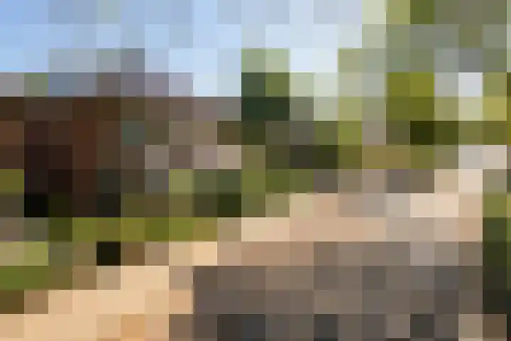 Achterhoekse Molenweg 270 Hengelo thumbnail 39