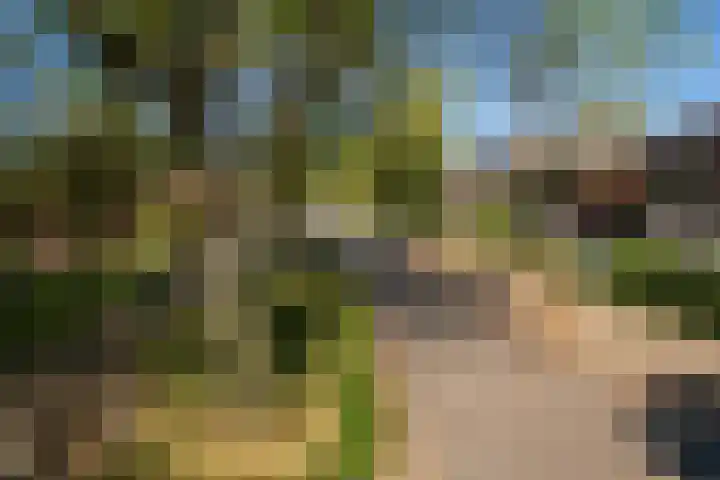 Achterhoekse Molenweg 270 Hengelo thumbnail 41