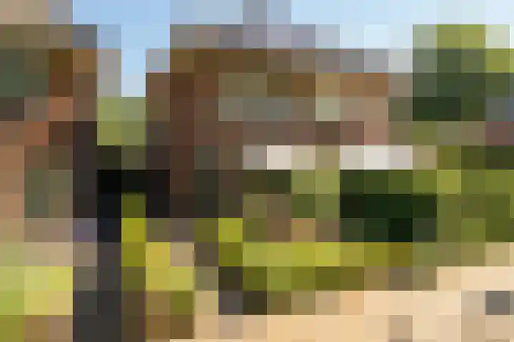 Achterhoekse Molenweg 270 Hengelo thumbnail 50