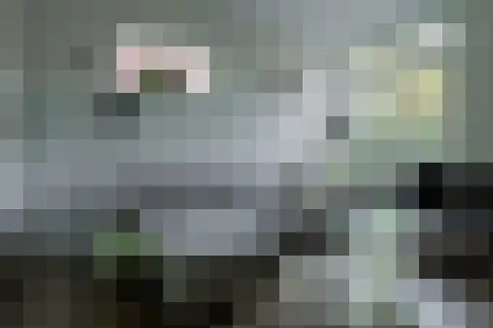 Achterhoekse Molenweg 270 Hengelo thumbnail 6