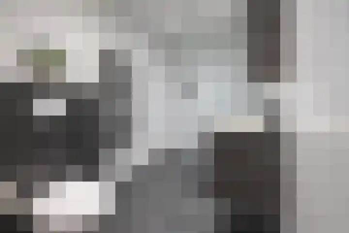 Achterhoekse Molenweg 284 Hengelo thumbnail 17