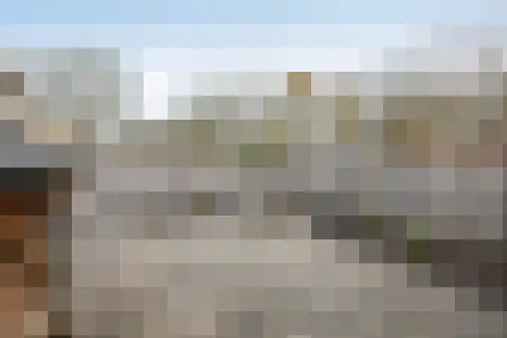 Achterhoekse Molenweg 284 Hengelo thumbnail 29