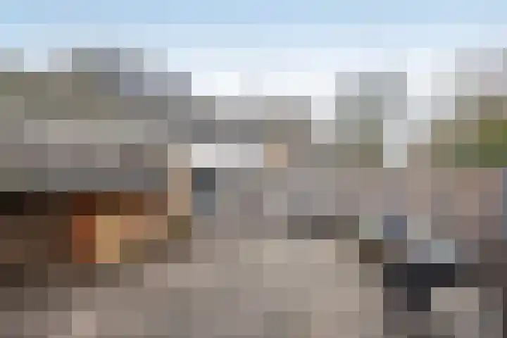 Achterhoekse Molenweg 284 Hengelo thumbnail 30
