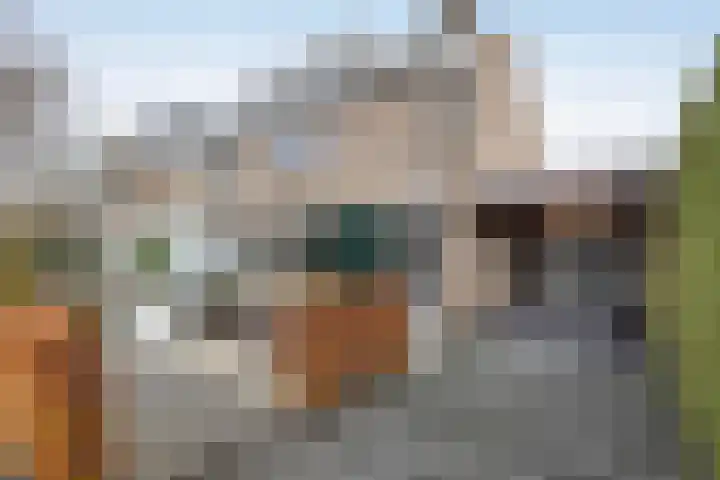 Achterhoekse Molenweg 284 Hengelo thumbnail 31