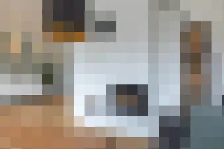 Achterhoekse Molenweg 284 Hengelo thumbnail 6