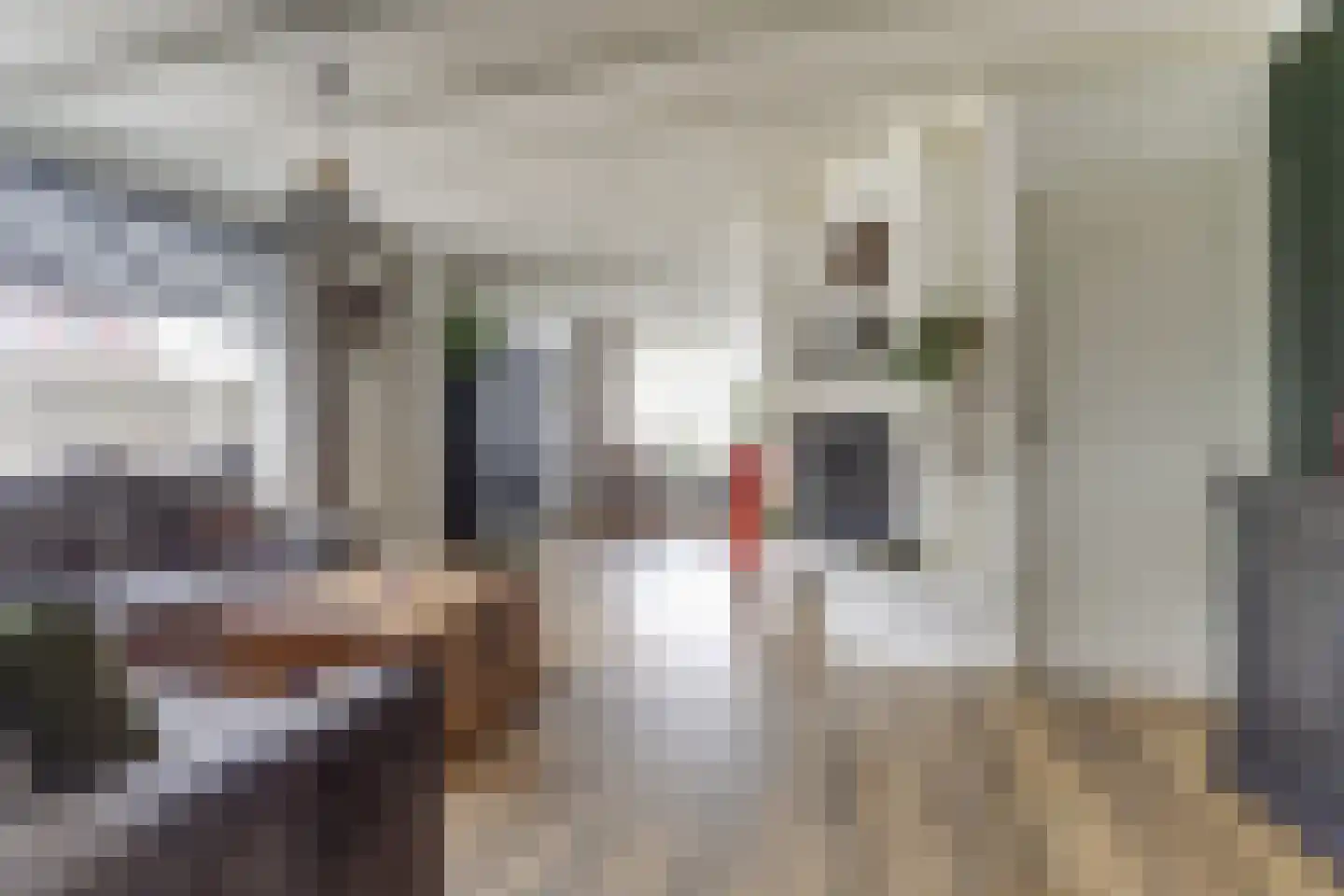 Achterhoeksestraat 2 Rucphen thumbnail 10