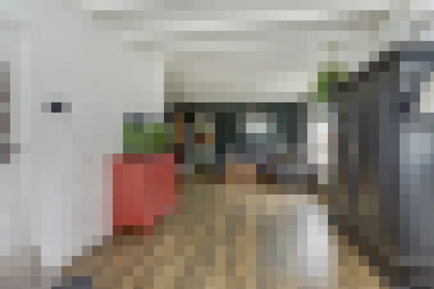 Achterhoeksestraat 2 Rucphen thumbnail 14