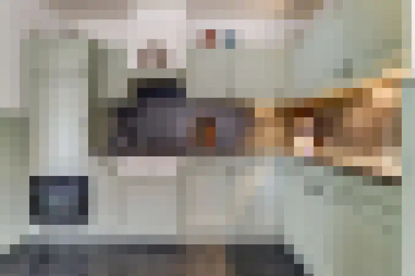 Achterhoeksestraat 2 Rucphen thumbnail 16