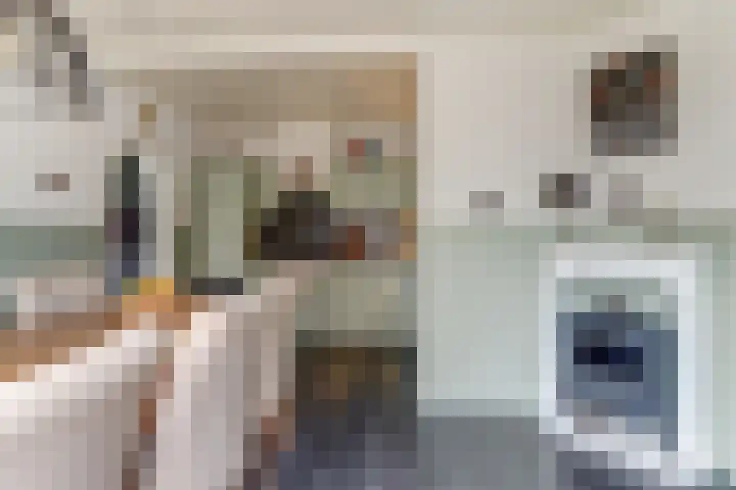 Achterhoeksestraat 2 Rucphen thumbnail 18