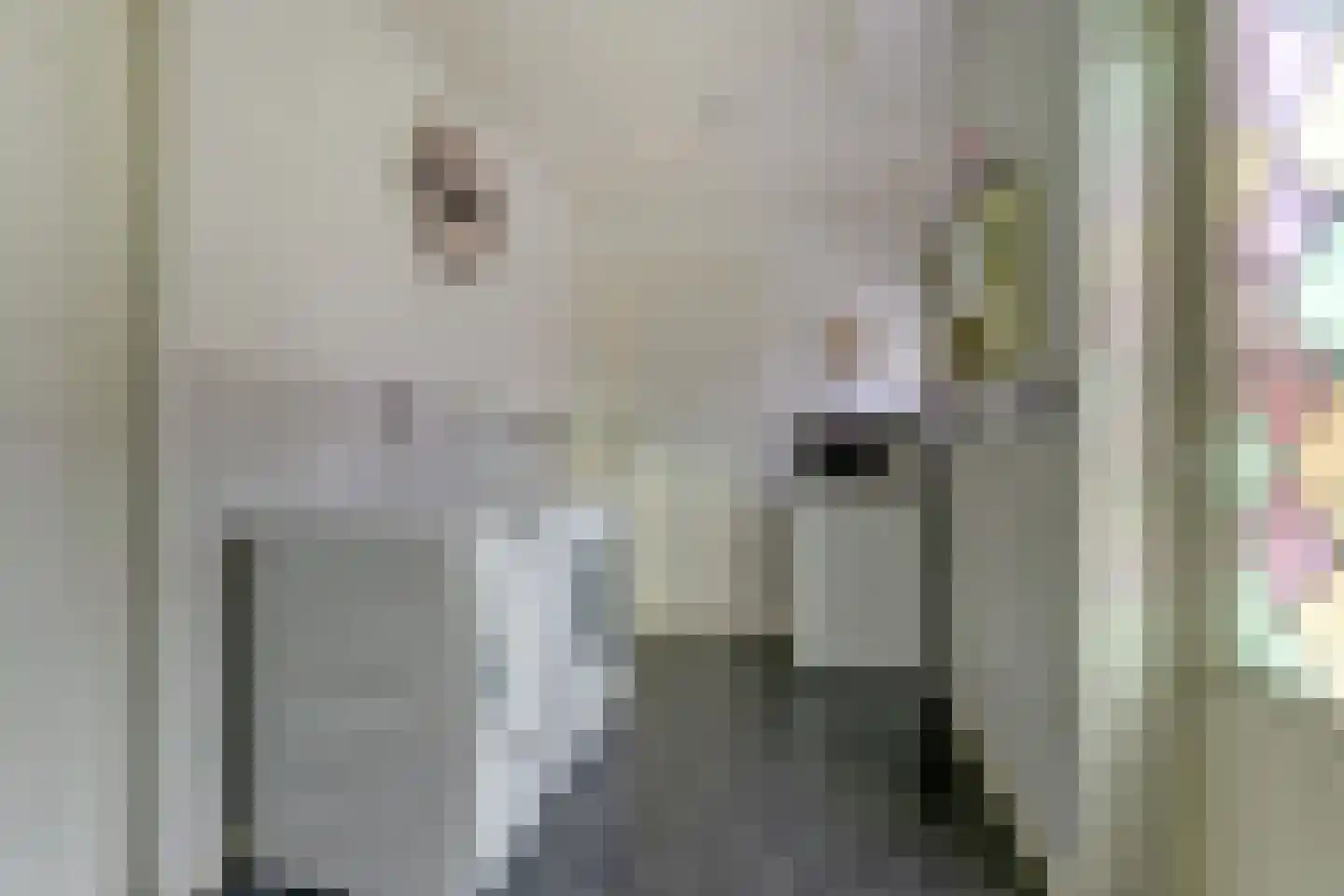 Achterhoeksestraat 2 Rucphen thumbnail 20