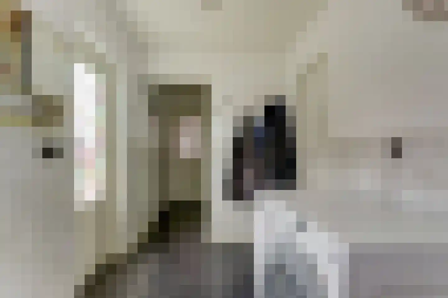 Achterhoeksestraat 2 Rucphen thumbnail 23