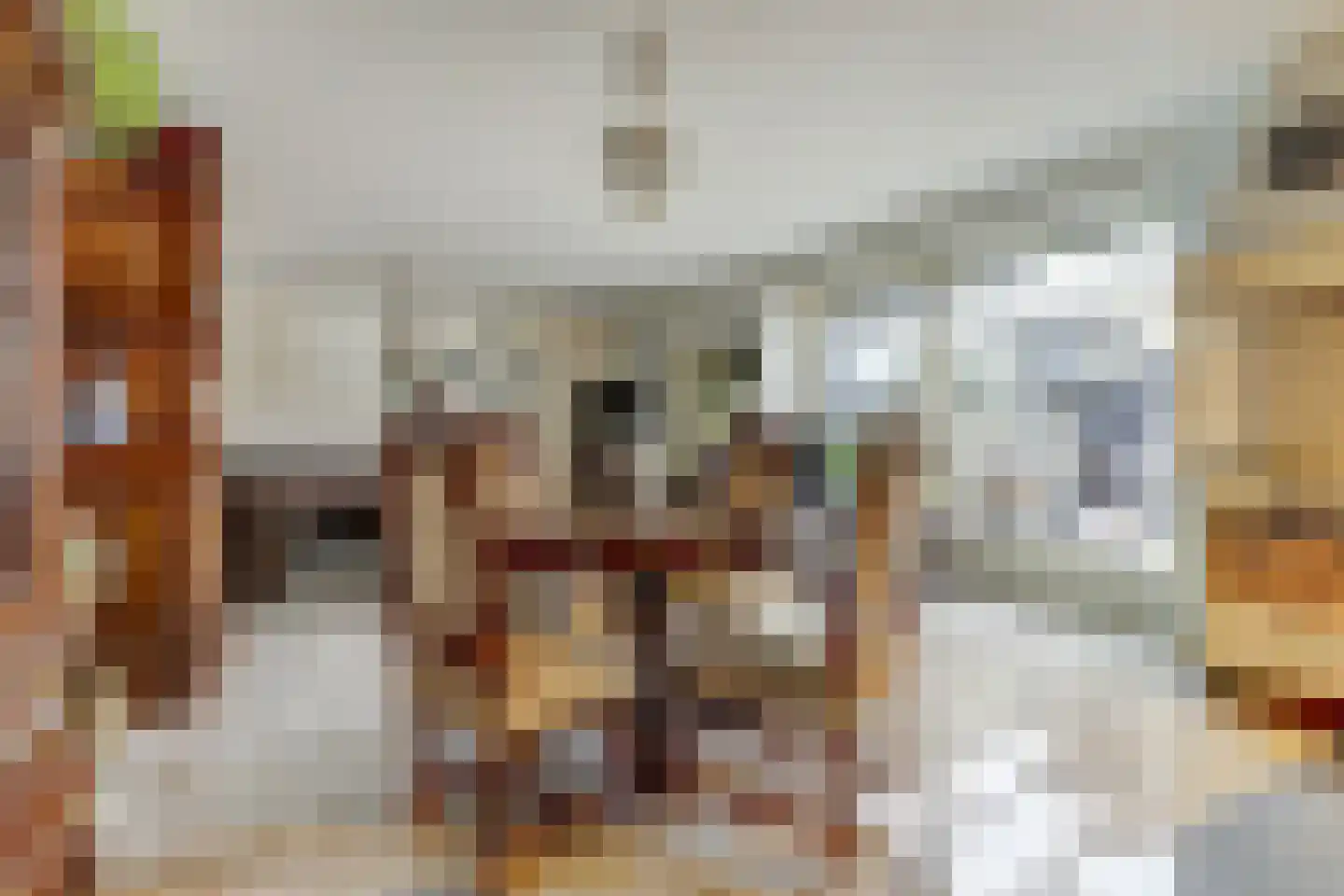 Achterhoeksestraat 2 Rucphen thumbnail 26