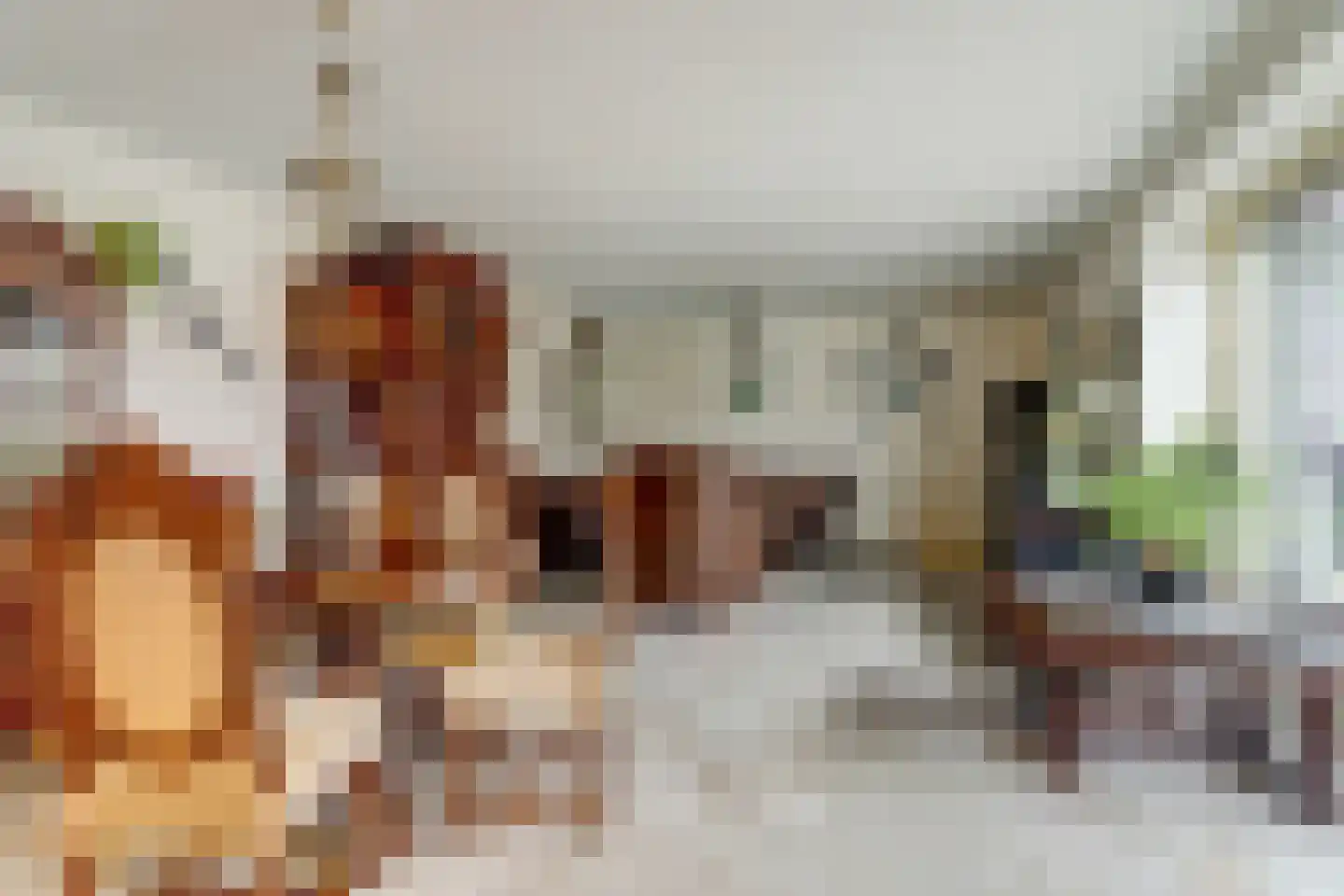 Achterhoeksestraat 2 Rucphen thumbnail 27