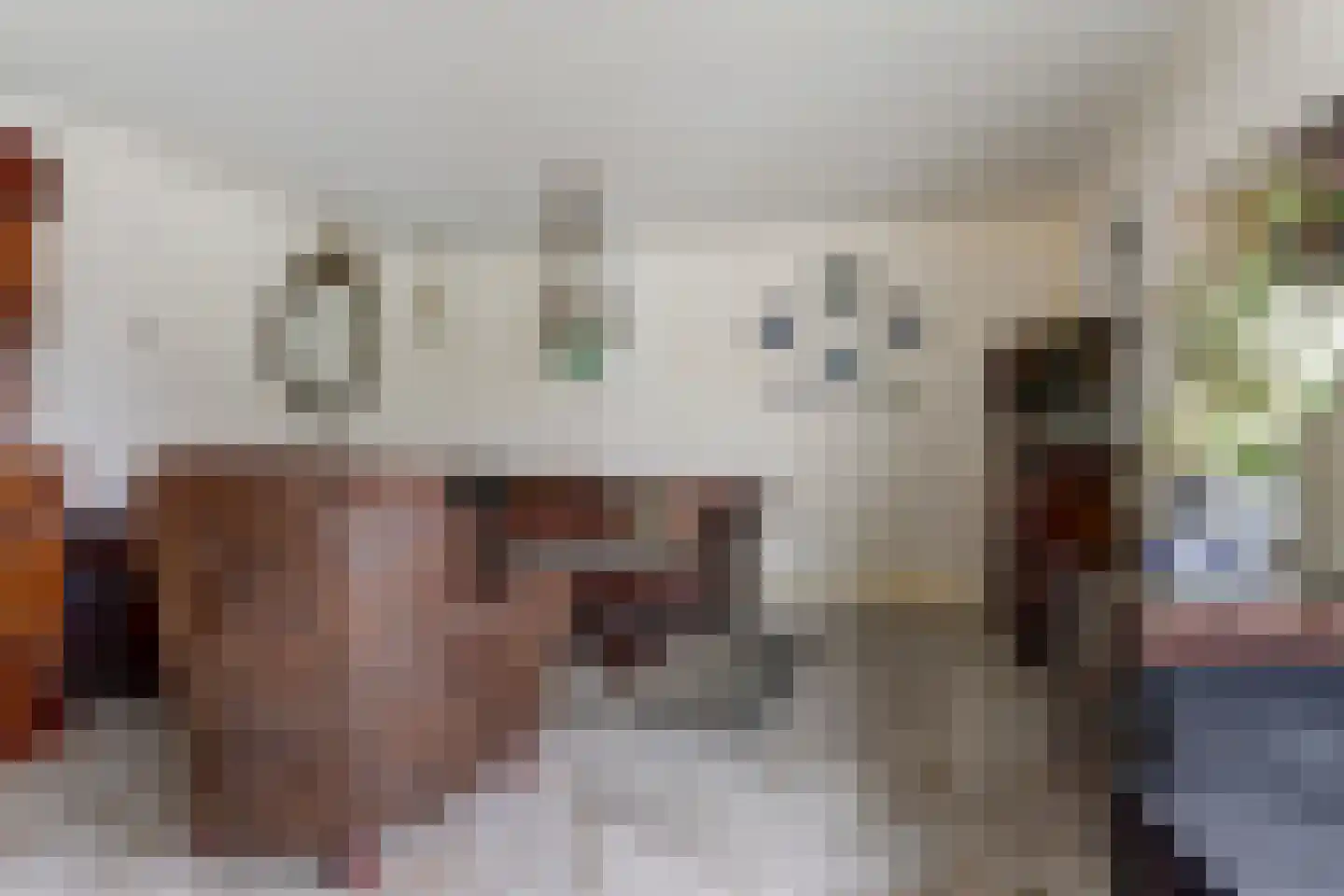 Achterhoeksestraat 2 Rucphen thumbnail 28