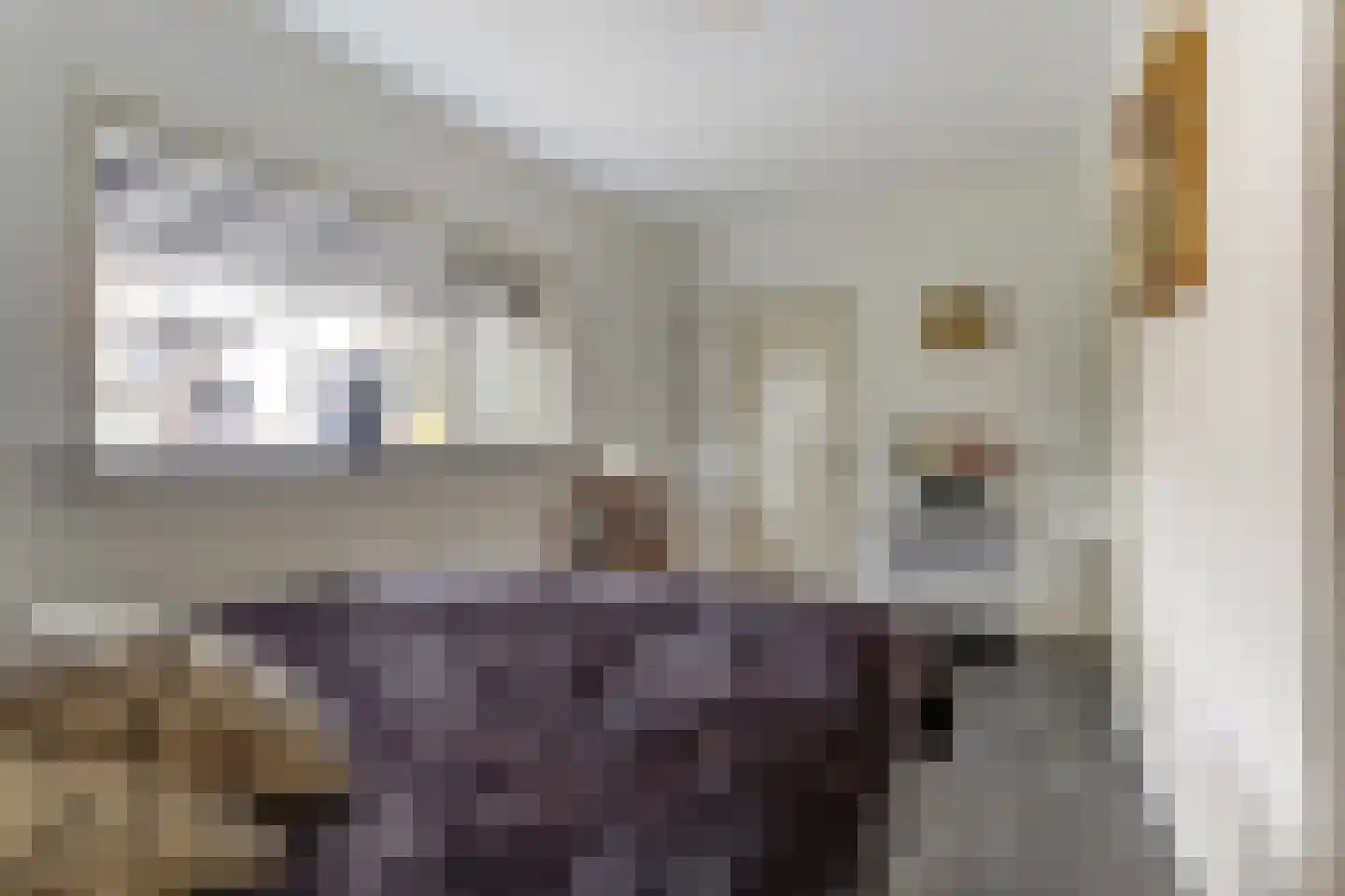 Achterhoeksestraat 2 Rucphen thumbnail 31