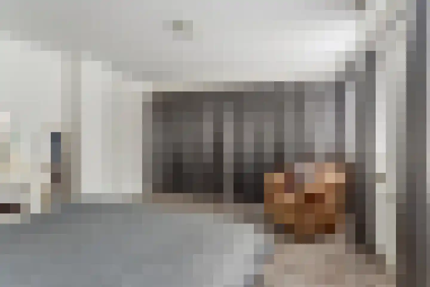 Achterhoeksestraat 2 Rucphen thumbnail 37