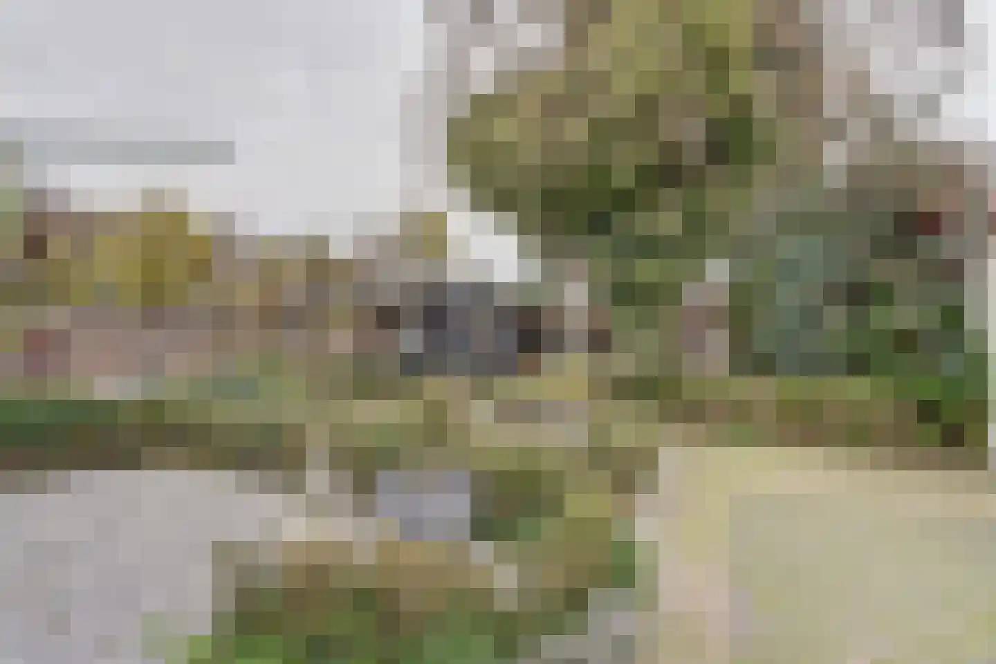 Achterhoeksestraat 2 Rucphen thumbnail 41